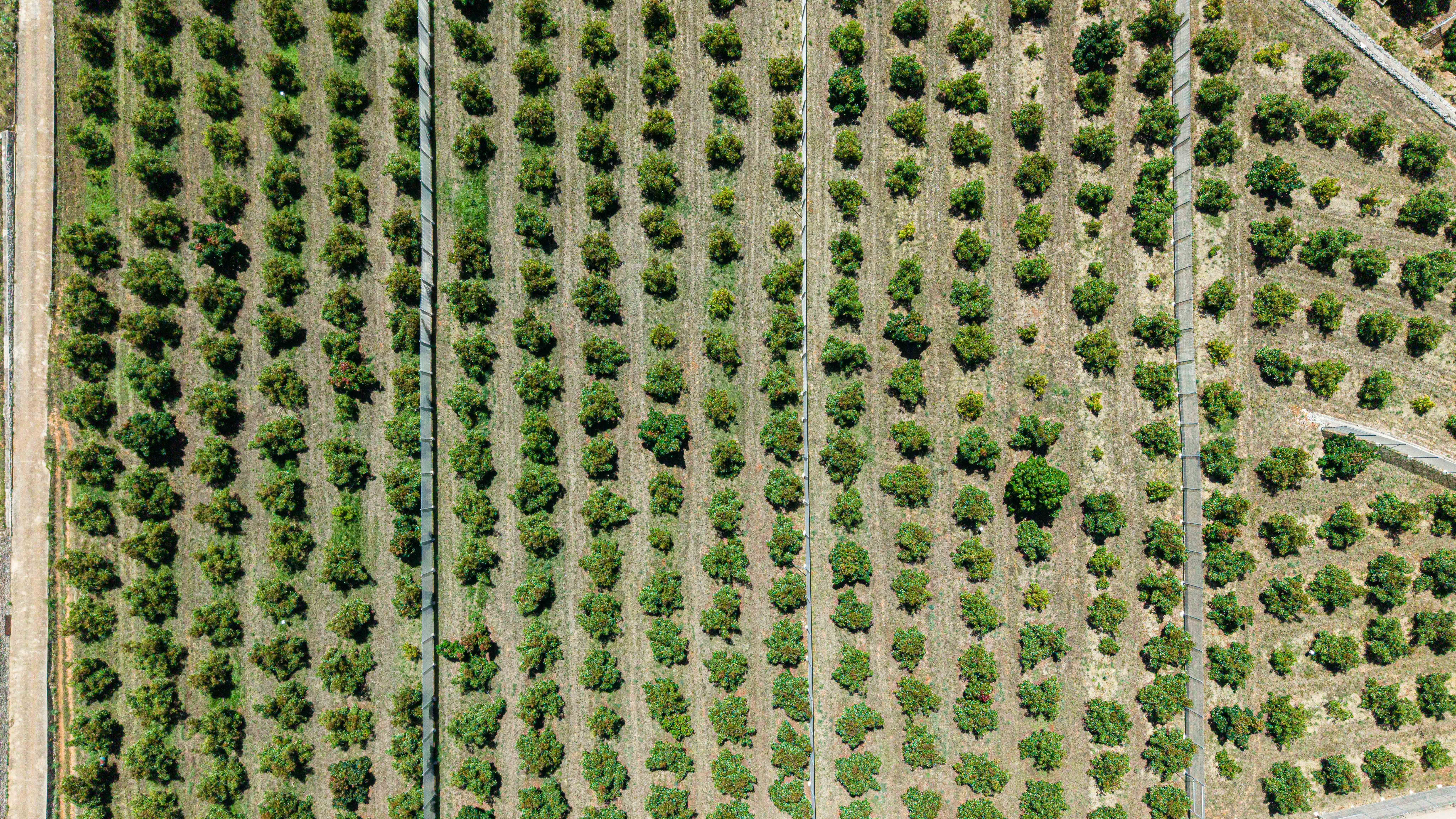 Taller práctico de biofertilidad