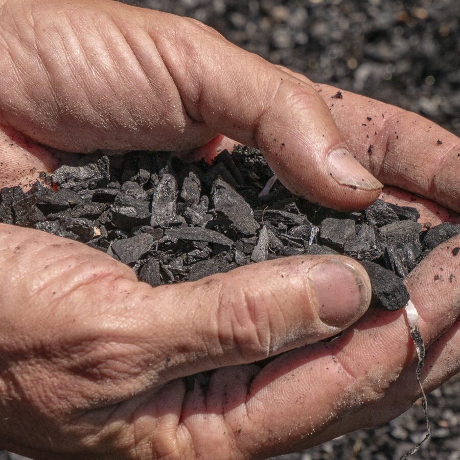 Biochar